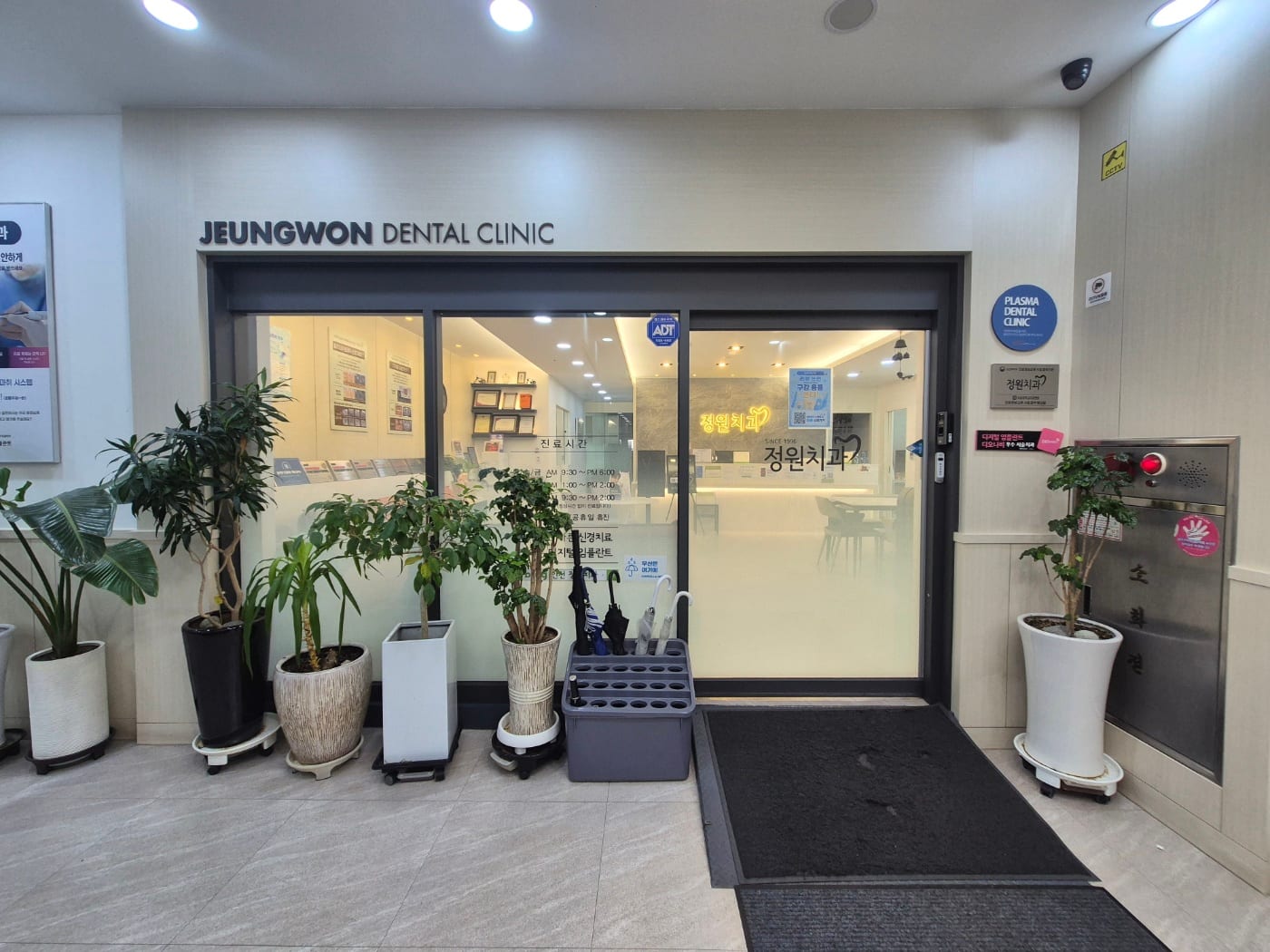 정원치과의원 입구. JEUNGWON DENTAL CLINIC 사인과 화분이 놓여 있다.
